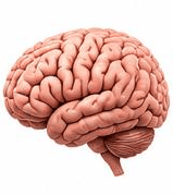 Memory & Cognitive Problems